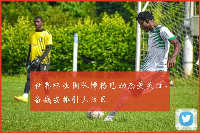 世界杯法国队博格巴动态受关注，备战安排引人注目