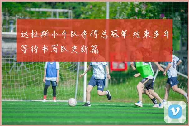 达拉斯小牛队夺得总冠军 结束多年等待书写队史新篇