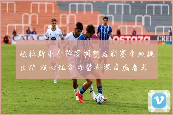 达拉斯小牛阵容调整后新赛季轮换出炉 核心组合与替补深度成看点