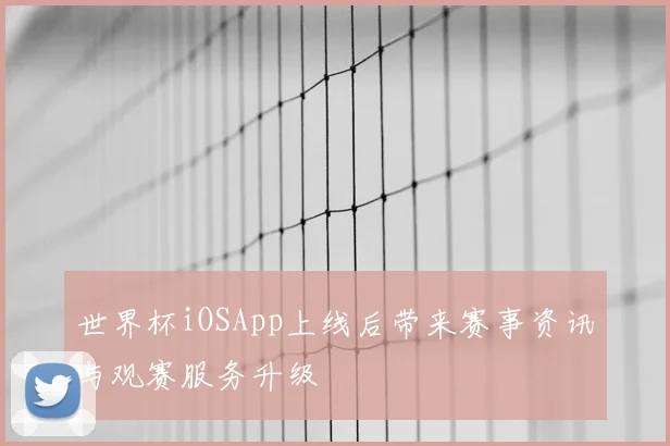 世界杯iOSApp上线后带来赛事资讯与观赛服务升级