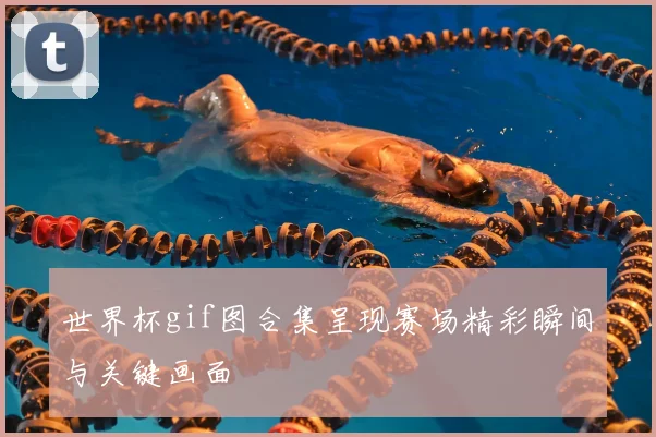 世界杯gif图合集呈现赛场精彩瞬间与关键画面